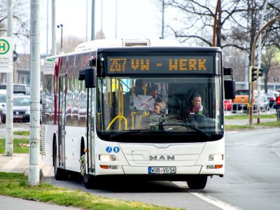 Wolfsburger Bus