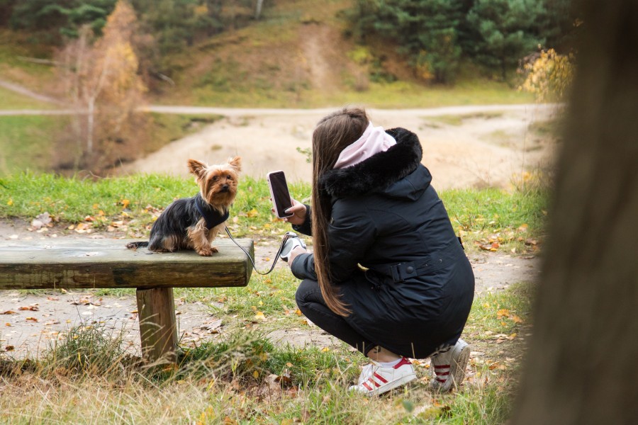 Ein Tierquäler versucht im Harz offenbar, Hunde umzubringen. Dabei geht er perfide vor... Hundebesitzer sollten genau hingucken! (Symbolbild)