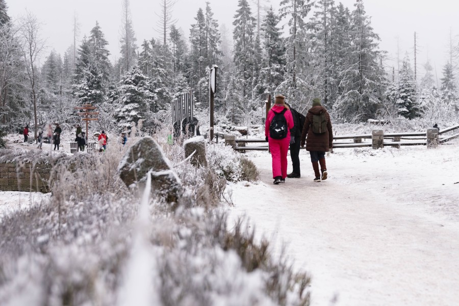 Der Nationalpark Harz warnt Besucher und Bewohner gleichermaßen für einer möglichen Gefahr. (Symbolbild)