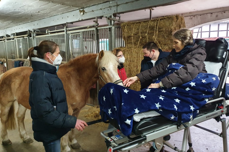 Carolas größter Wunsch sollte in Erfüllung gehen! Sie machte einen Ausflug zu einem Reitstall in Braunschweig. 