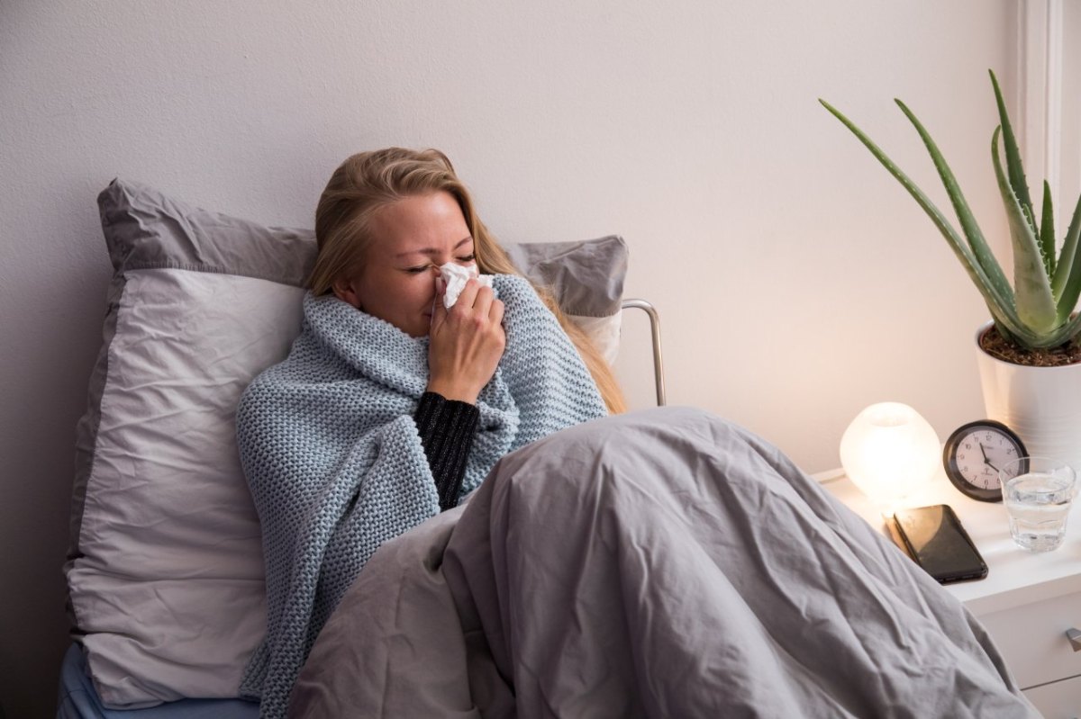 Grippe in Niedersachsen.jpg