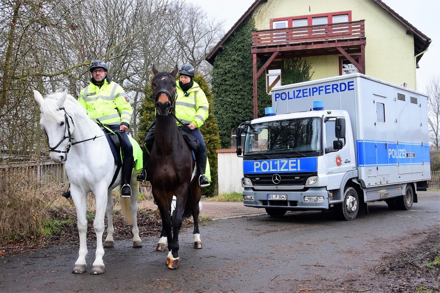 Bei der Suche sind auch Polizeipferde und Hunde in Wolfenbüttel im Einsatz.