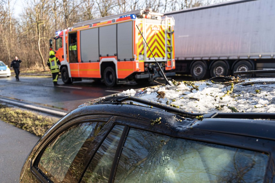 Heftiges Baum-Unglück in Salzgitter! Für einen Autofahrer endet es im Krankenhaus. 