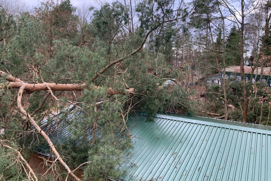 Der Sturm „Zeynep“ verschonte auch nicht die Erholungsanlage am Bernsteinsee in Gifhorn. Mehrere Bäume kippten um.