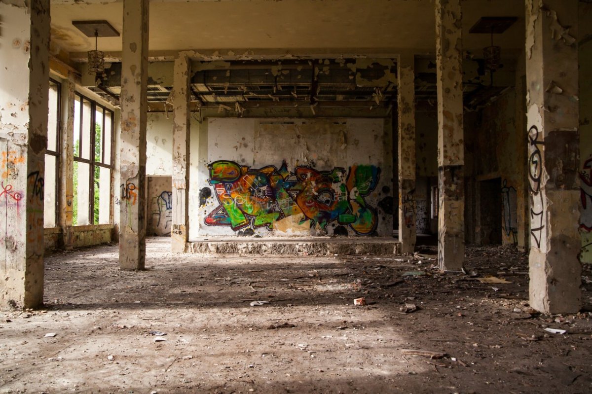 „Lost Place" im Harz: Ruine steht mitten im Wald – sie hat eine besondere Geschichte