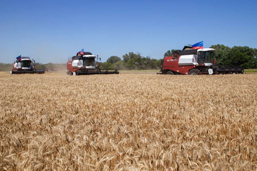 Jedes Jahr liefert die Ukraine mehrere Millionen Tonnen Mais in die EU. (Archivbild)