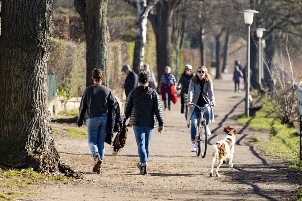 Spaziergänger Hund Wolfenbüttel