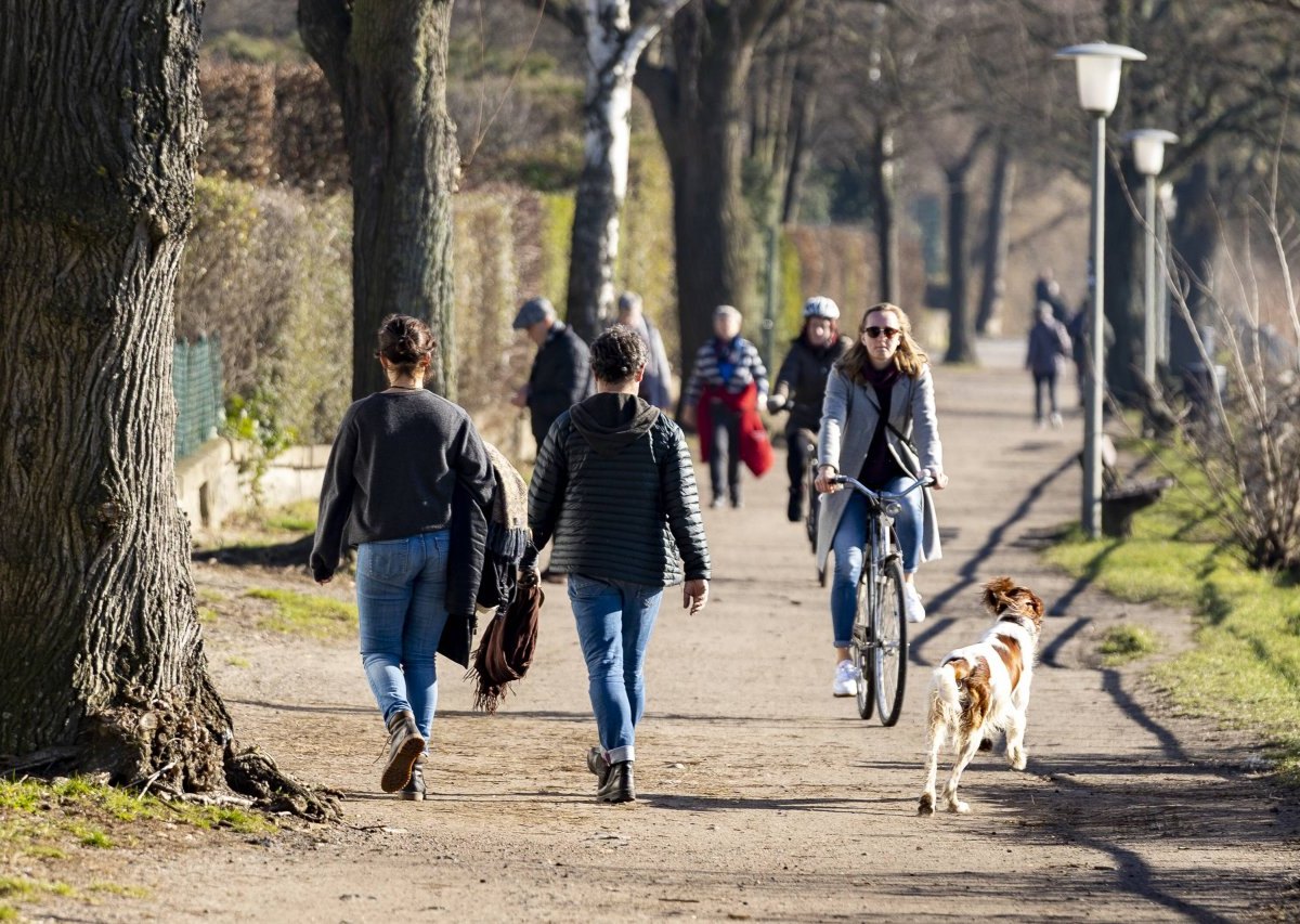 Spaziergänger Hund Wolfenbüttel