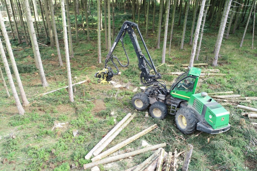 Um die befallenen Bäume aus dem Wald zu bekommen, muss 
schweres Gerät eingesetzt werden.