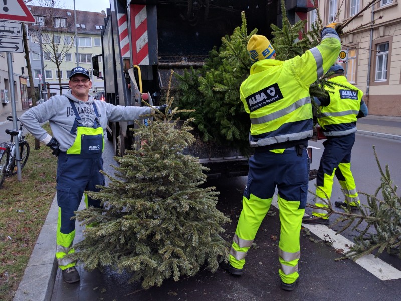 Insgesamt werden jedes Jahr rund 230 Tonnen Weihnachtsbäume abgeholt.