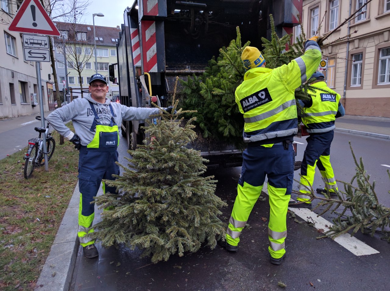 Braunschweig Dann werden die Weihnachtsbäume abgeholt news38.de