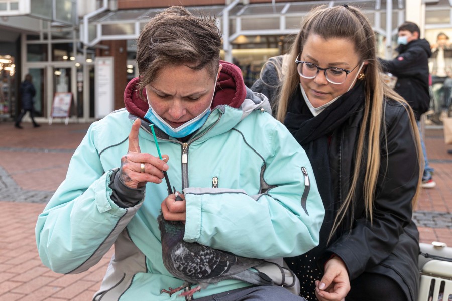 Inga Gröschler und Kollegin versuchen ein Tier noch zu retten –  für sieben Tauben kam jede Hilfe zu spät.