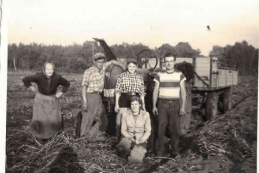 Der 21-jährige Annese (rechts im Bild) bei der Kartoffelernte . Links neben ihm stehen seine zwei späteren Schwägerinnen. 