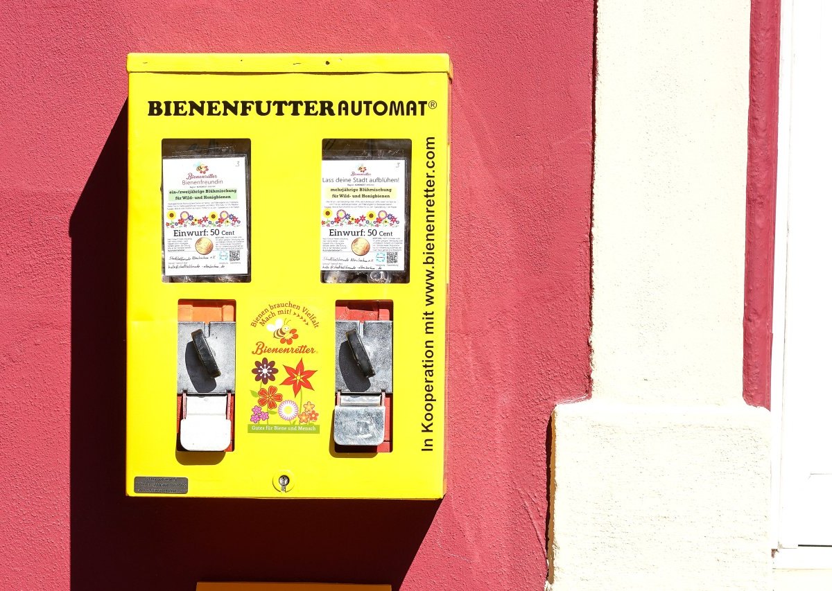 Bienenfutterautomat.jpg