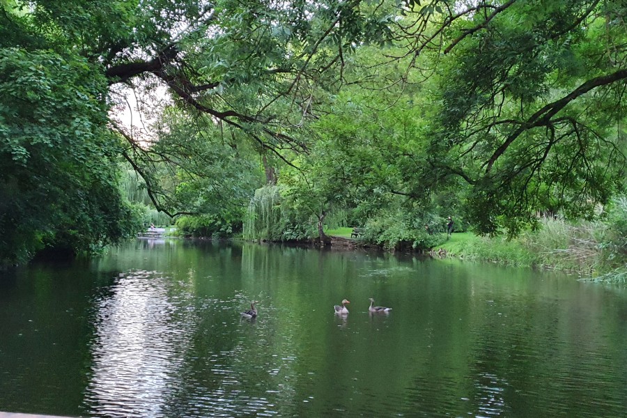 Die Stadt Braunschweig zieht der Oker den Stöpsel. 