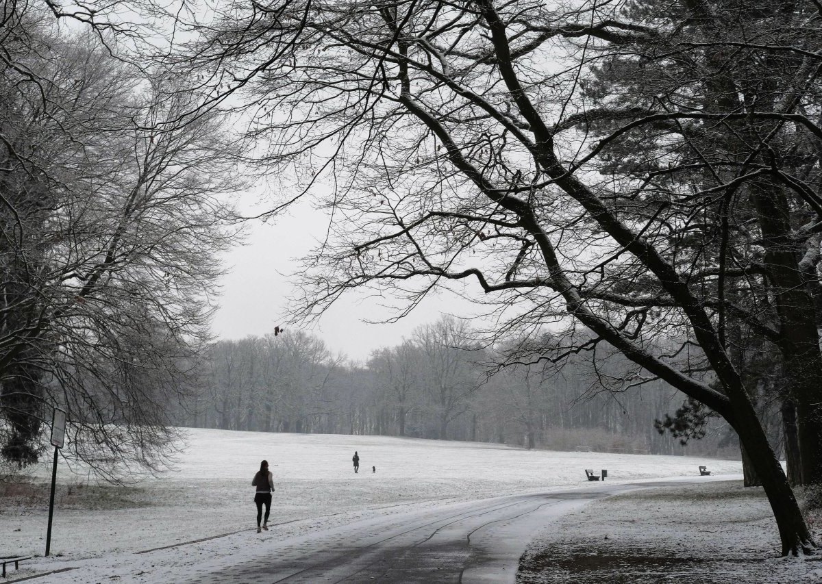 Braunschweig Prinzenpark Winter Schnee