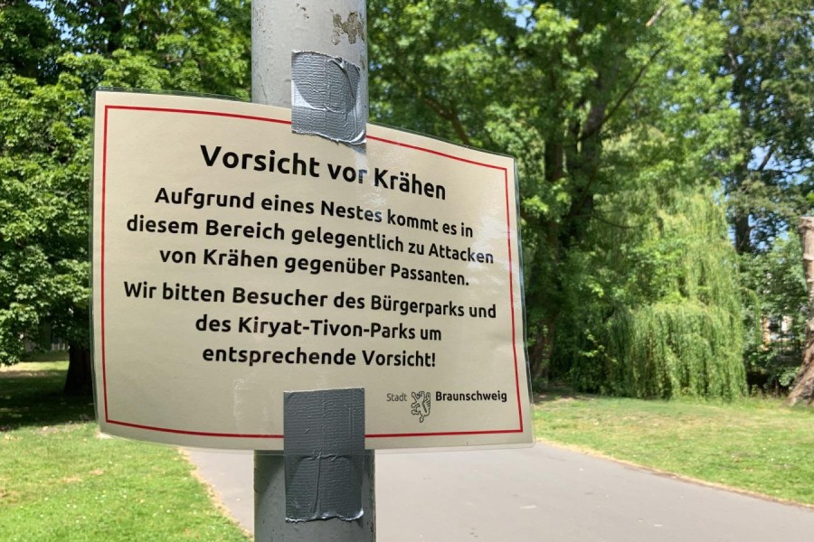 Im Bürgerpark Braunschweig wurde ein Warnschild der Stadt angebracht. Es lauert Gefahr von Krähen.