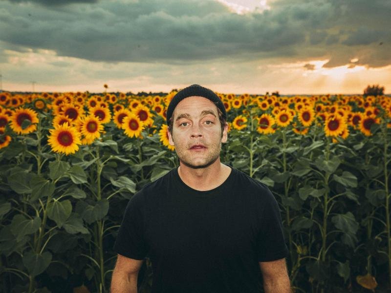 Der Sänger Bosse zeigt sich in einem Sonnenblumenfeld.