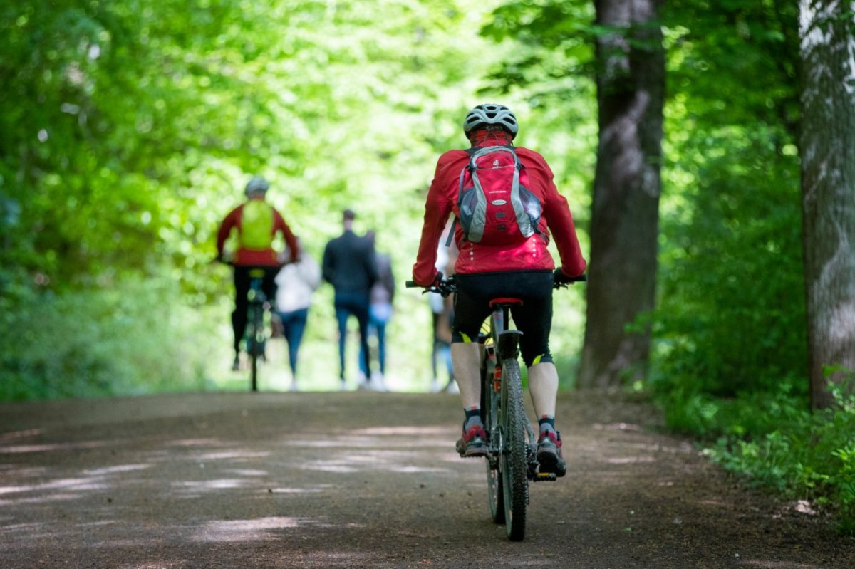Fahrradfahrer Spaziergänger Wald Riddagshausen
