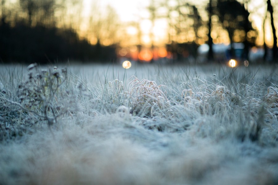 Dienstagnacht solltest du in Niedersachsen mit Frost und Glätte rechnen. (Archivbild)