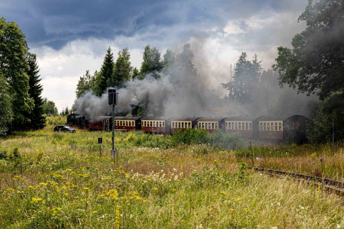 Harz