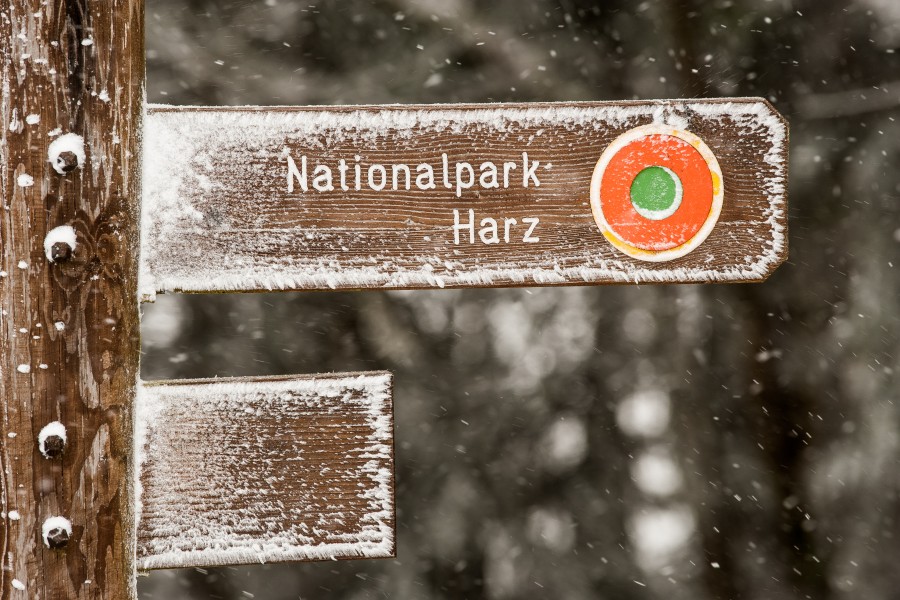 Besonders der Harz darf sich über die kalten Temperaturen freuen! (Symbolbild)
