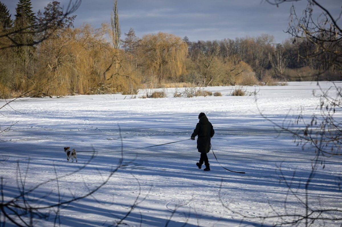 HundGifhorn.jpg