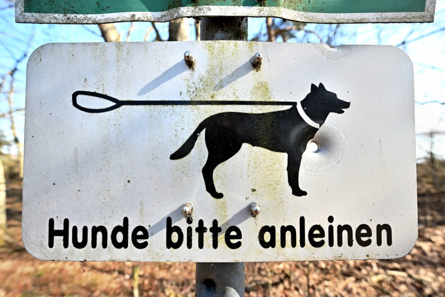 Ab April geht es auch in Niedersachsen wieder los: Wegen der Brutzeit gilt bis Mitte Juli die Leinenpflicht. (Symbolbild)