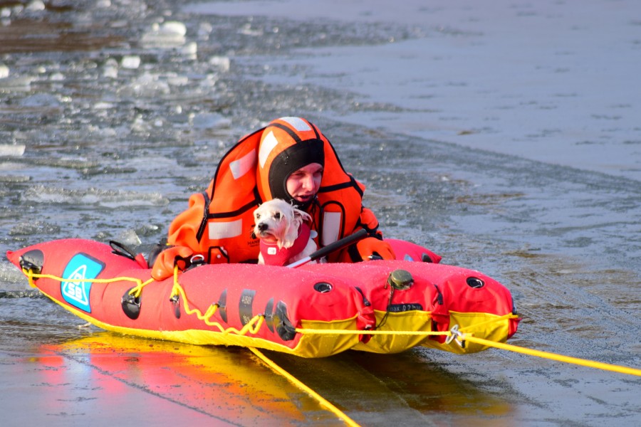 Die Feuerwehr konnte den kleinen Vierbeiner aus dem Heidbergsee in Braunschweig retten. 