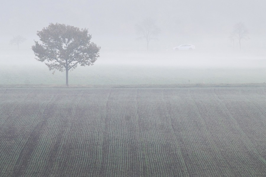 Achtung! Das Wetter in Niedersachsen wird in den kommenden Nächten neblig. (Symbolbild)