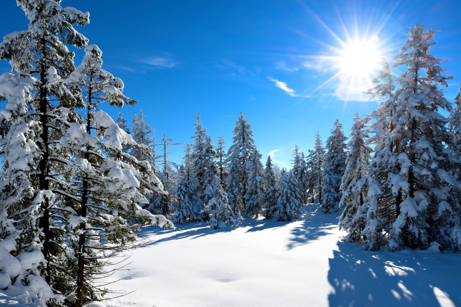 Sonne, Schnee und Kälte könnten am Wochenende für eine schöne Schneelandschaft sorgen. (Archivbild)