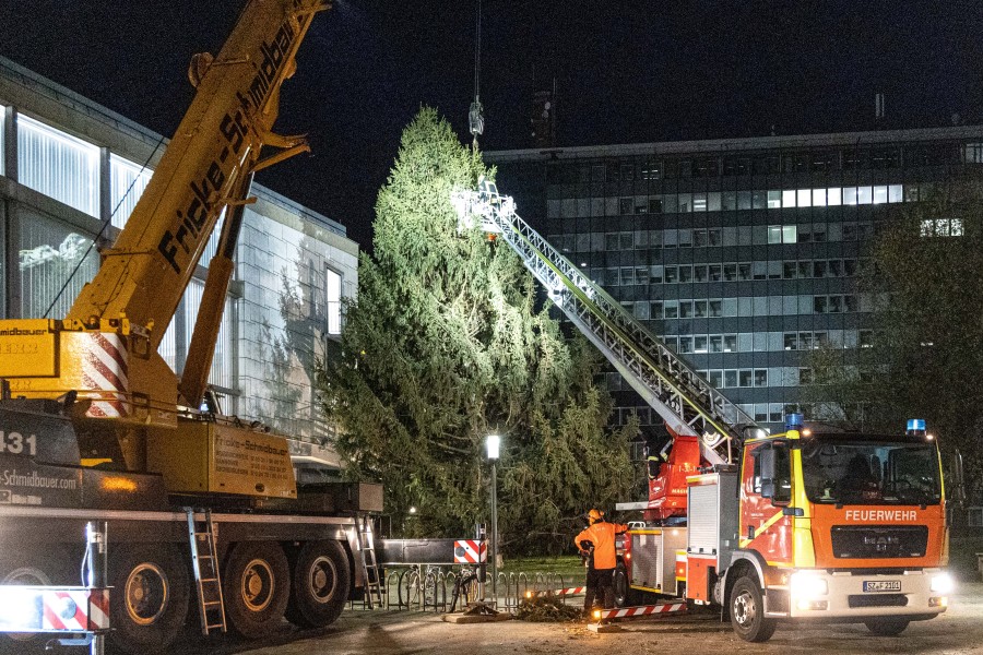 Nach zehn Stunden stand der Weihnachtsbaum in Salzgitter endlich vor dem Rathaus. 
