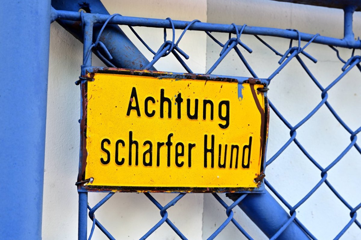 Schild Achtung scharfer Hund Warnschild Achtung scharfer Hund