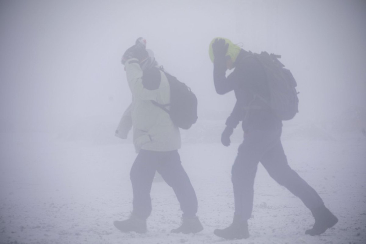 Sturm Winter schnee harz wandern Spazieren