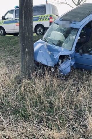 Im Harz ist ein Autofahrer gegen einen Baum gekracht.