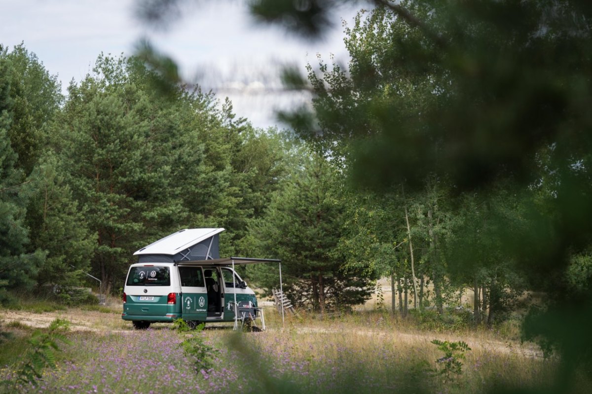 VW wildcamping nutzfahrzeuge