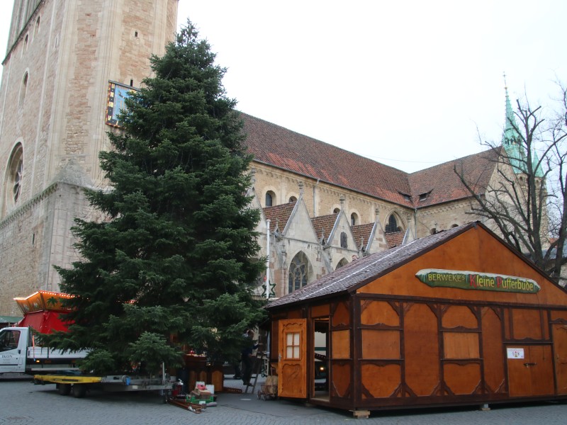 Der große Tannenbaum vor dem Dom ist bereit zum Schmücken. 