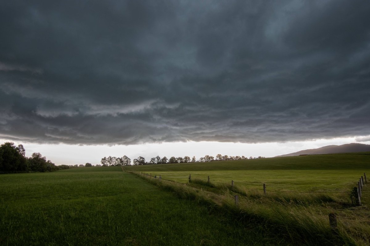 Wetter Niedersachsen.jpg