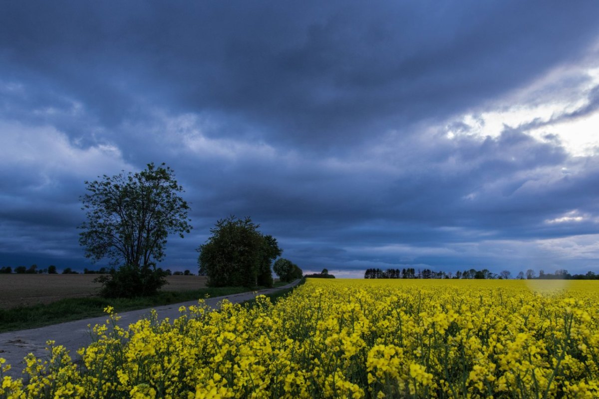 Wetter in Niedersachsen