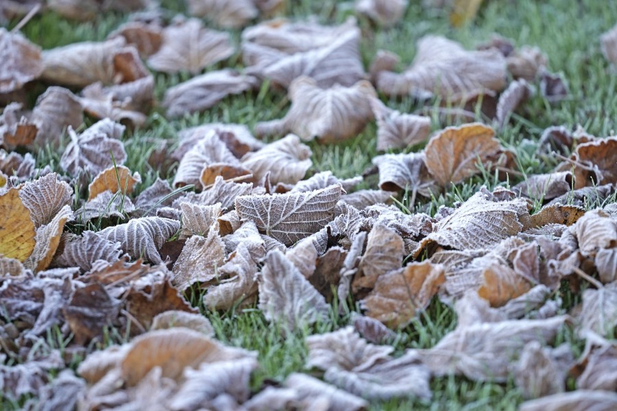 Das Wetter in Niedersachsen wird in der Nacht zu Donnerstag frostig. (Symbolbild)