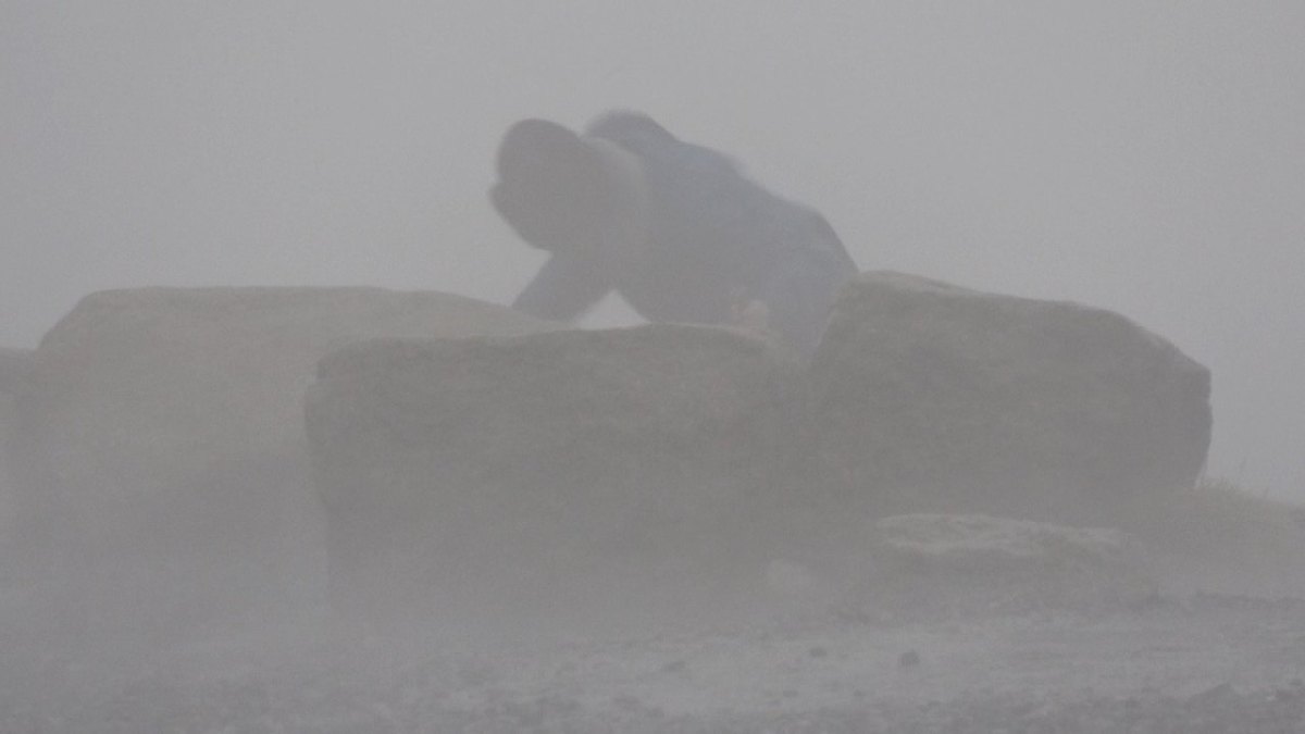 Wetter in Niedersachsen.jpg