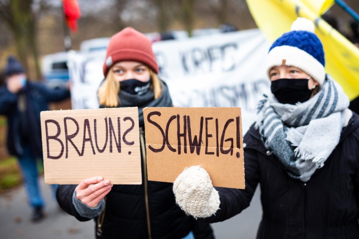 afd braunschweig demo gegendemo 3