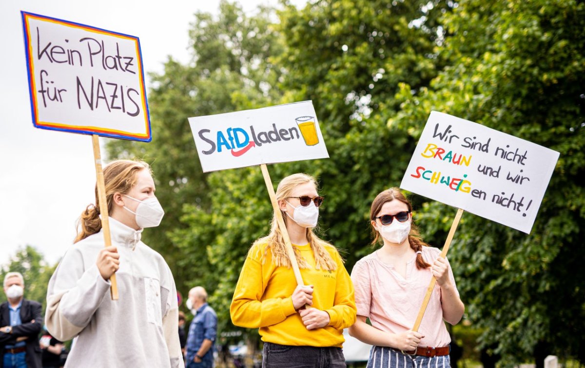 afd demo braunschweig