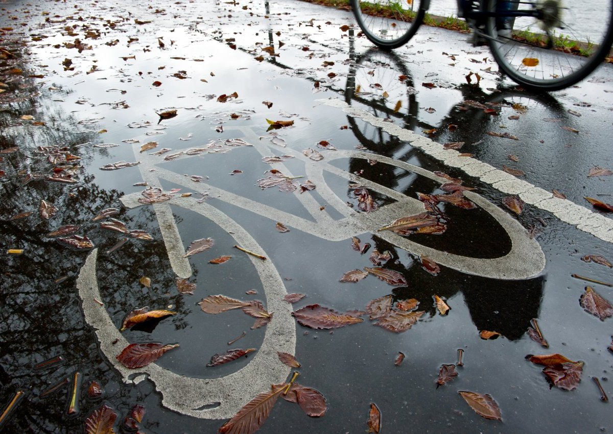 fahrrad licht herbst radfahren