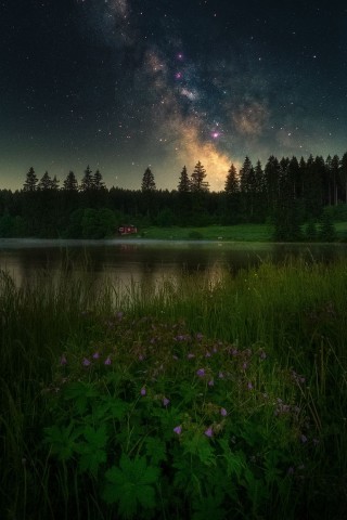 Der Ziegenberger Teich im Harz bei Nacht – dieses Foto fasziniert viele Menschen. 