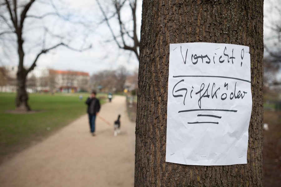 Hundeseitzer in Wolfenbüttel sollten gut auf ihre Vierbeiner aufpassen. (Symbolbild)