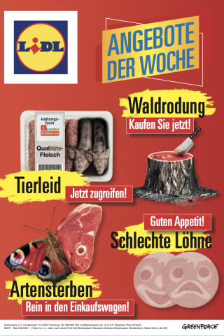 Die Flyer hat Greenpeace nicht nur im Edeka-Design, sondern auch im Look vieler weiterer Supermärkte in Braunschweig verteilt. 