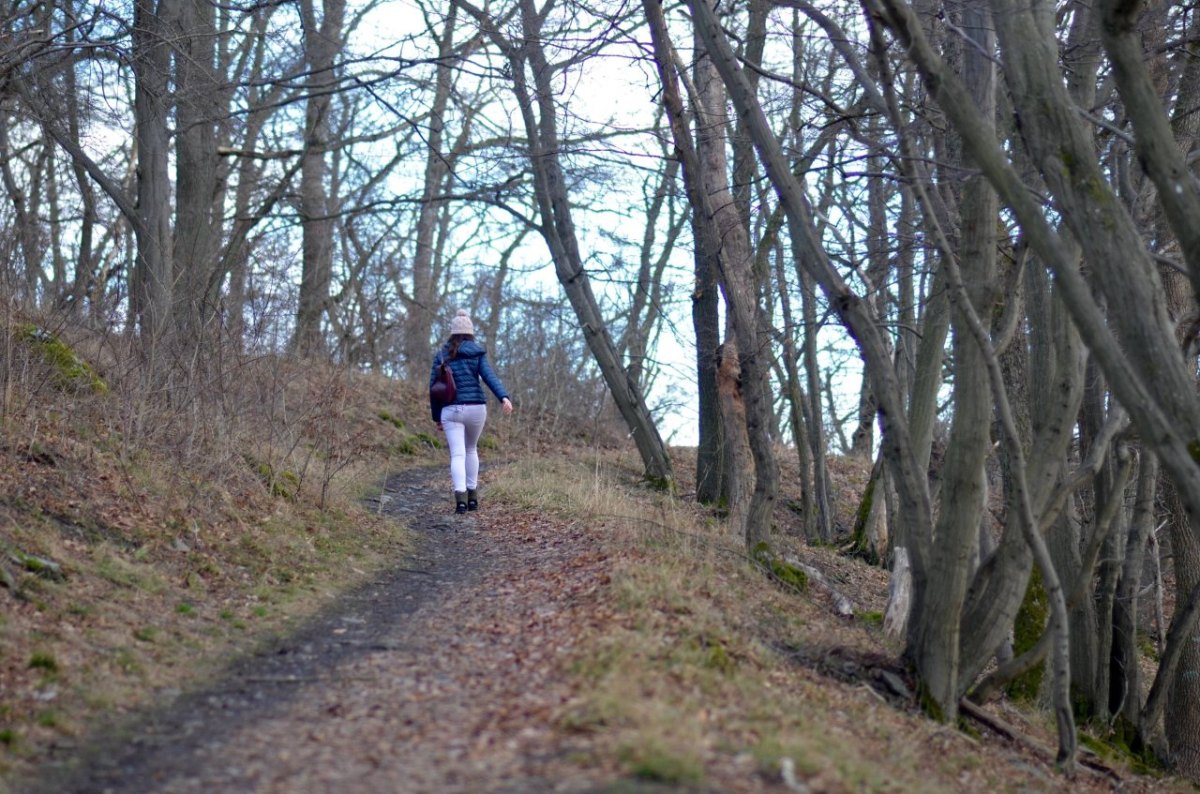 harz.jpg