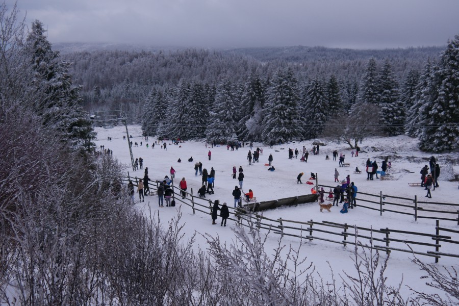 Chaos im Harz!