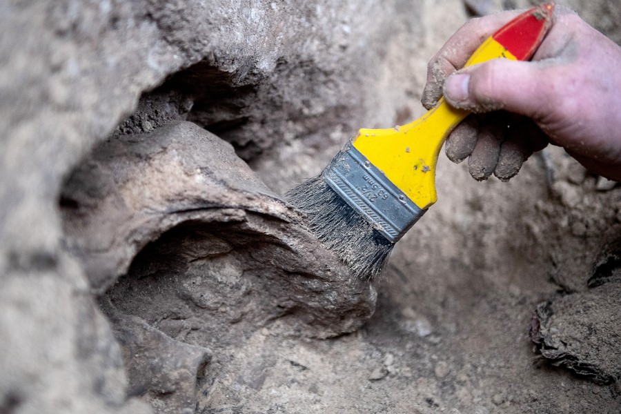  Ein Höhlenforscher legt bei Ausgrabungen an der Einhornhöhle eine Oberfläche frei. Die Einhornhöhle gilt als Schlüsselfundplatz für die Erforschung des Neandertalers im Norden. 